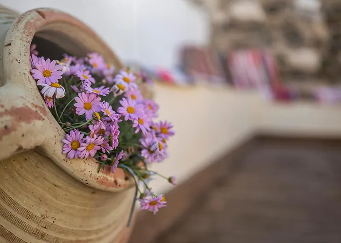 Nuova Casa Tranquilla Prázdninový dům Kos