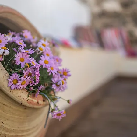 Nuova Casa Tranquilla Nyaraló Kosz