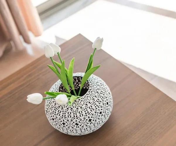 Nuova Casa Tranquilla